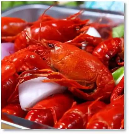美食娱乐大赢家微信公众号：都市年轻人的吃喝玩乐一站式省心指南
