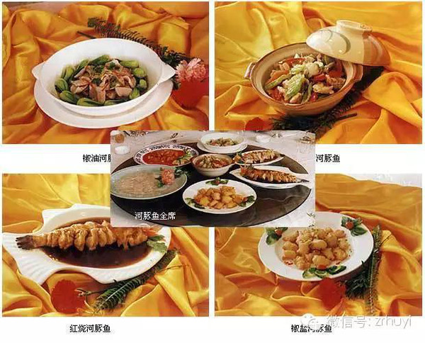 娱乐圈美食文推荐完结：热门经典作品排行榜与挑选指南